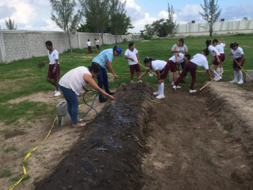 Ubica tu camión recolector de basura