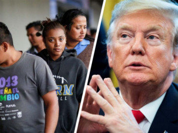 Migrantes indocumentados aseguran haber trabajado para Trump
