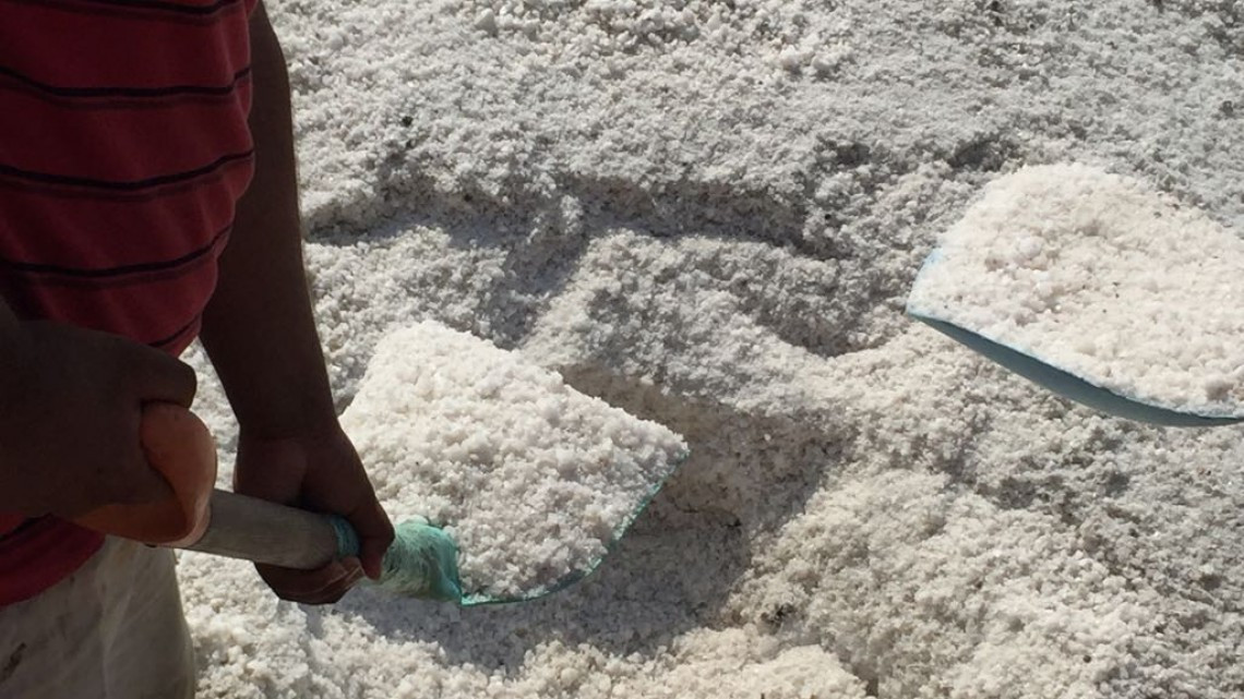 En crisis la industria salinera de Altamira