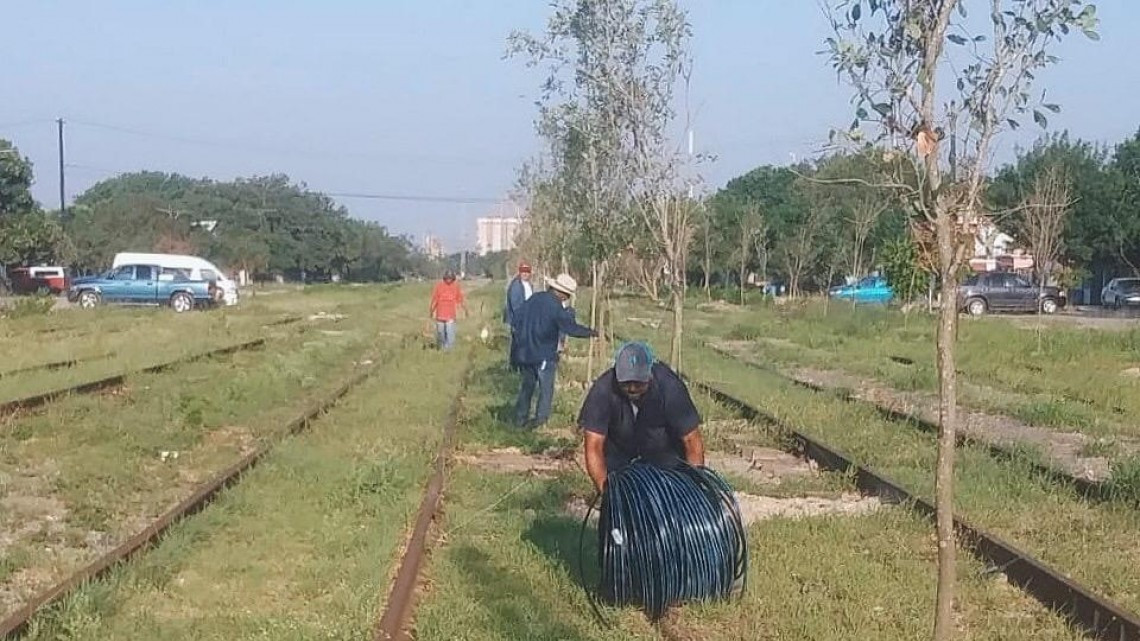 Instalan sistema de riego en el “Parque Lineal”