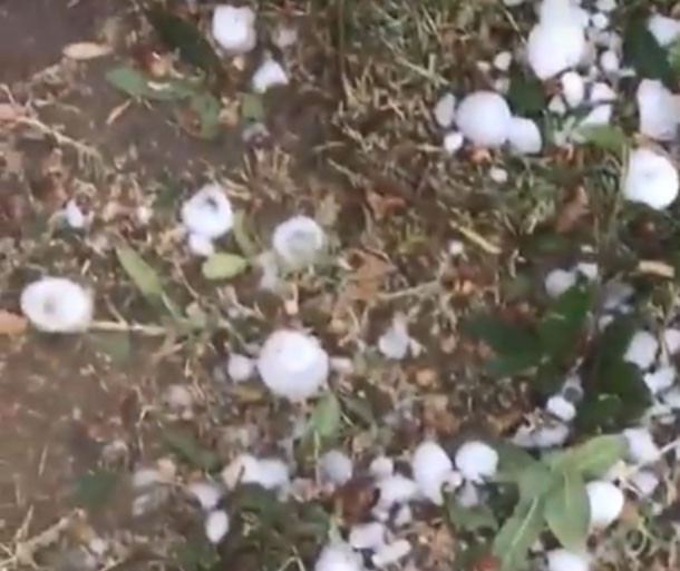 Granizada destroza autos en Chihuahua