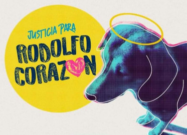 #JusticiaParaRodolfo: Hombre mata a perrito a machetazos en los Mochis 