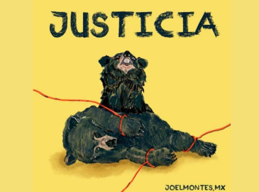 Usuaria de Internet pide justicia para osezna asesinada en Coahuila 