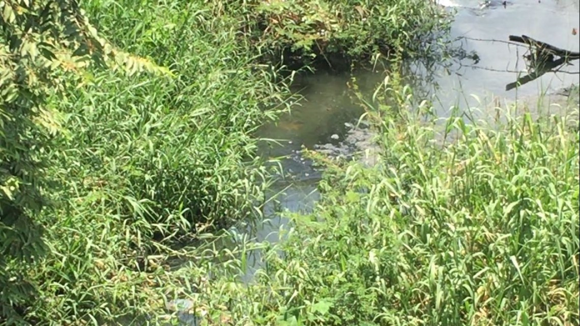 Construyen canales dentro del sistema lagunario