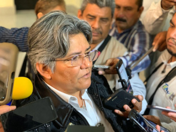 Mosco del dengue se adaptó a climas fríos; pero aún no hay defunciones