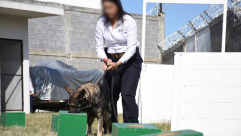 Entregan 3 agentes caninos a Procuraduría Tamaulipeca