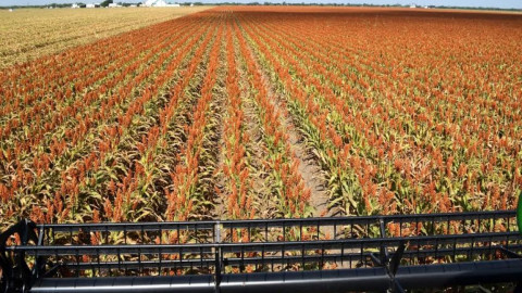 Productores reconocen trabajos del Gobernador