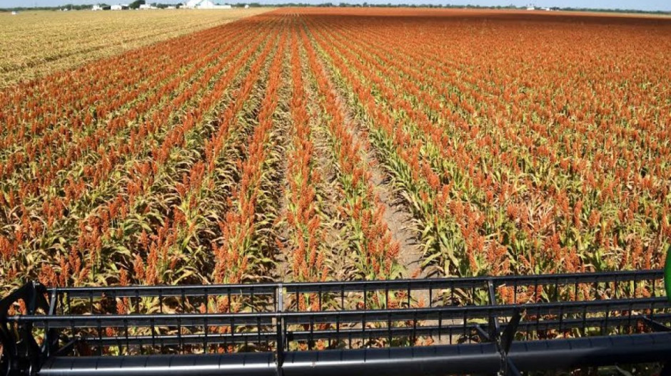 Productores reconocen trabajos del Gobernador