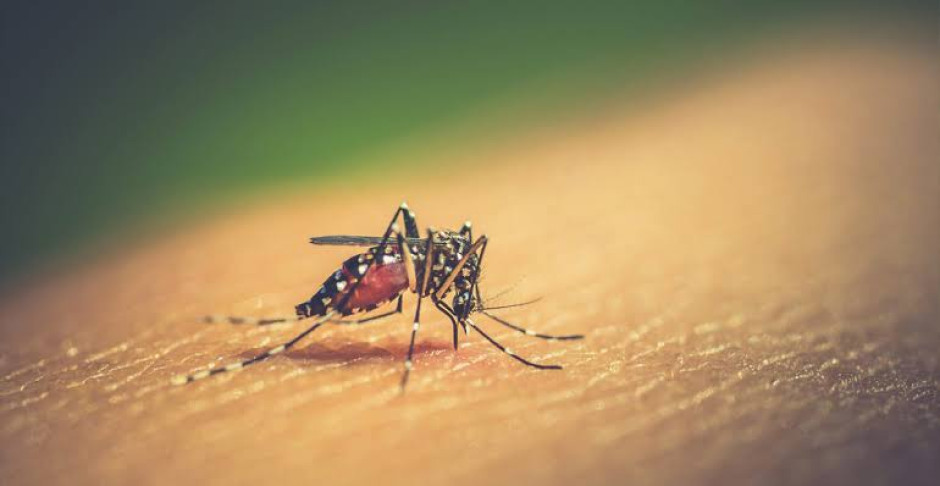 Aumentan casos de dengue en Matamoros; Salud confirma una defunción