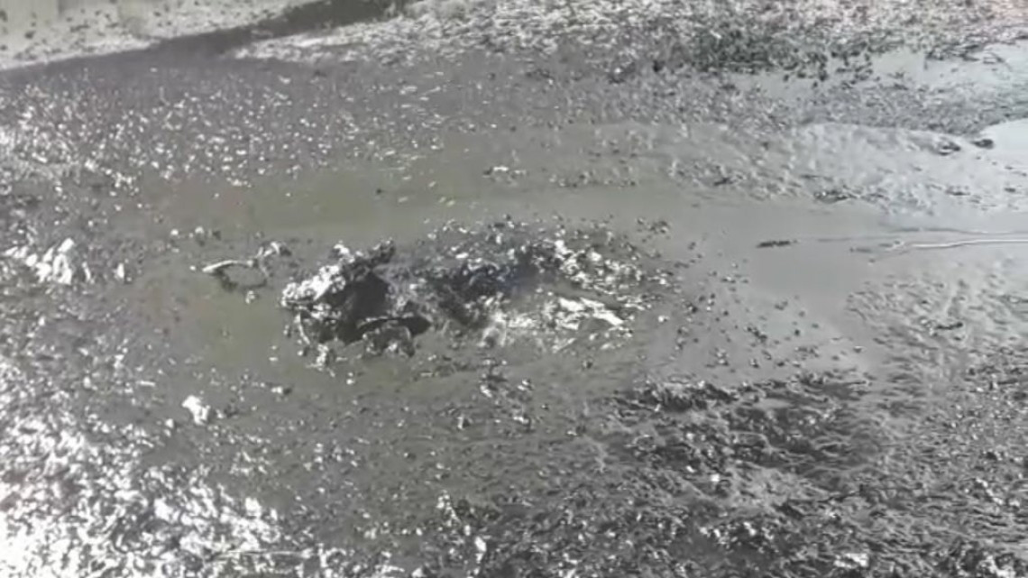 Autoridades locales en coordinación con PEMEX buscan posibles brotes de petróleo