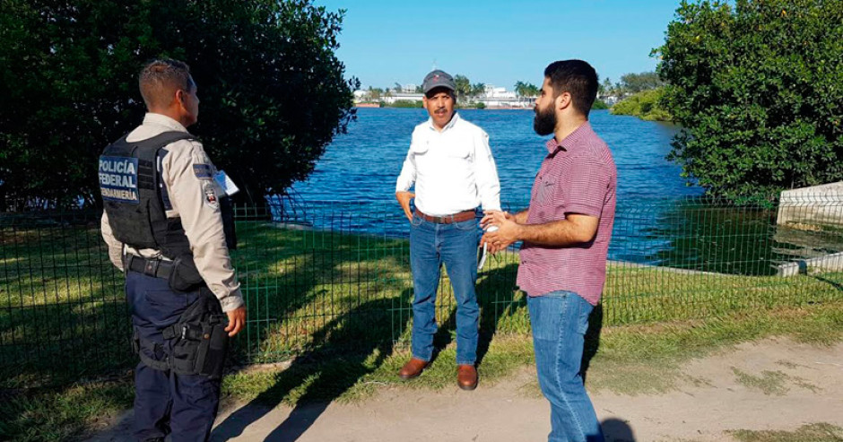 Profepa investiga el maltrato y muerte que sufrió una Nutria de Mar 