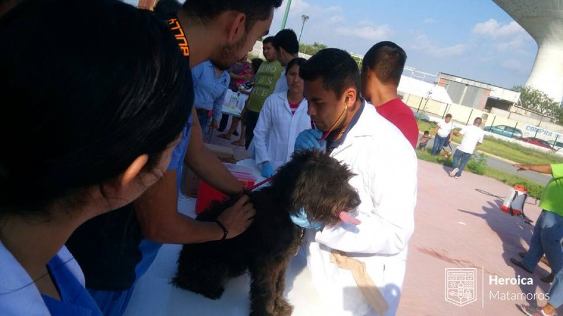 Llevan a cabo programa "Mascota Sana, Familia Sana"