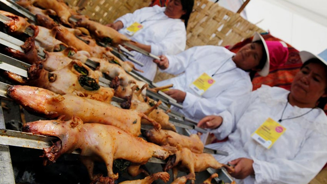 Festival de comida con roedores