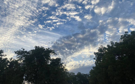 Conoce el clima de este día en Tamaulipas 