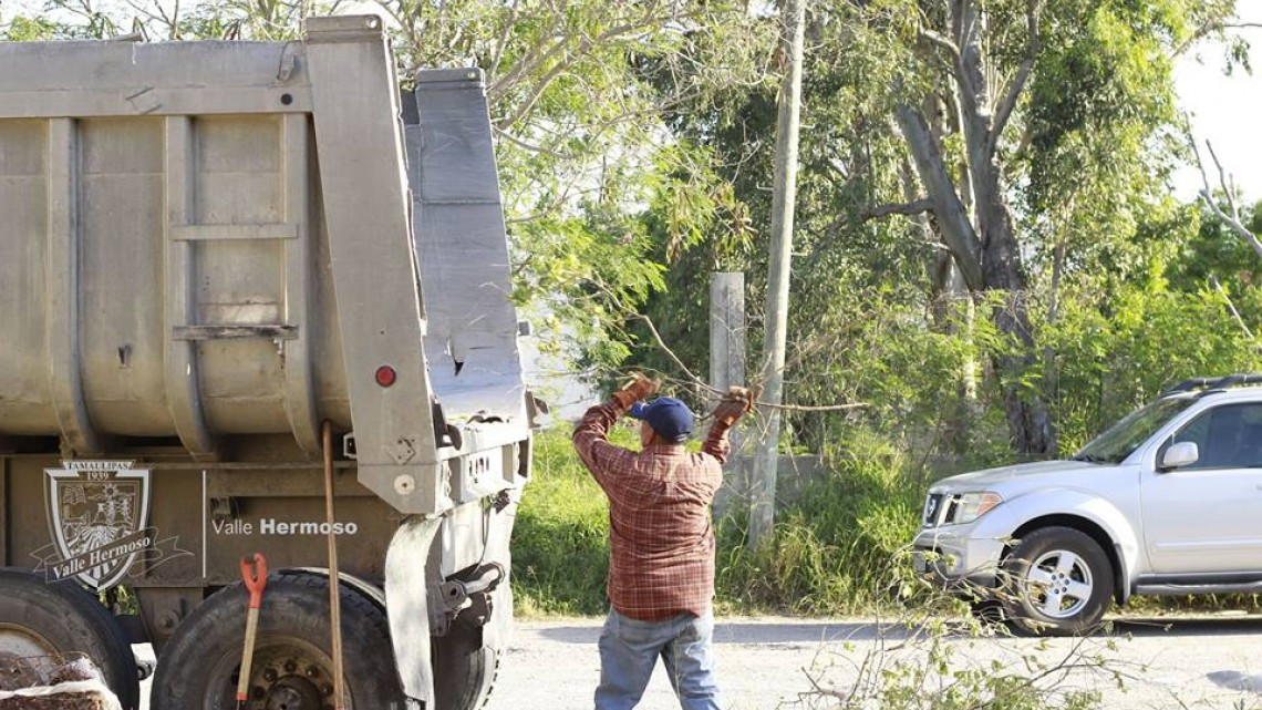 Levantan ramas que obstruían el paso