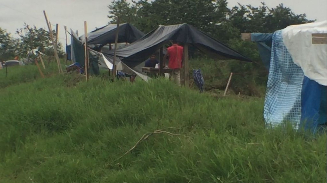 ⁠⁠⁠Predio inundable es invadido por cientos de familias en Altamira