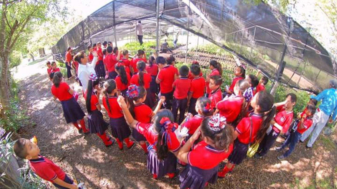 Realizan visitas a la Dirección de Agricultura y Vida Silvestre