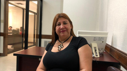 Destruyen cultivo de girasoles en el ejido Revolución