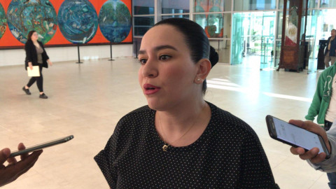 Pelea PRI contra demandas del 2010