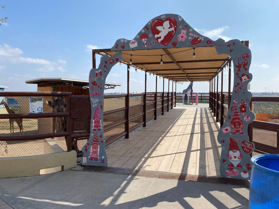 Celebran San Valentín en el Zoológico