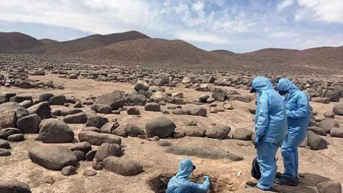 Con microorganismos del desierto de Atacama, científicos buscarán vida en Marte