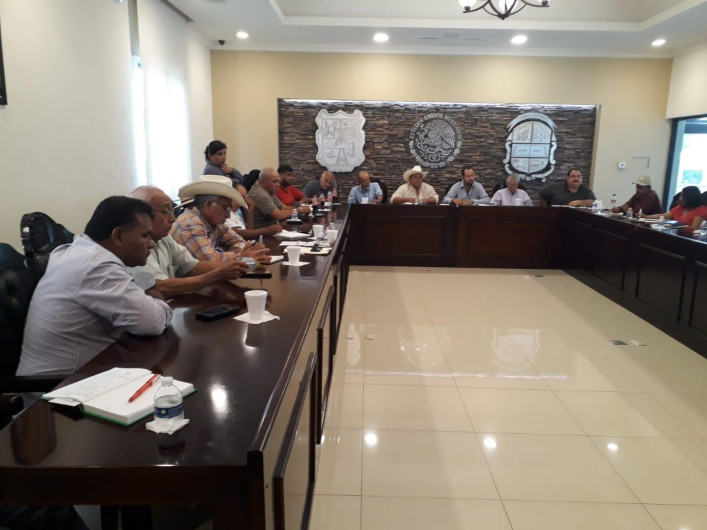 Sector agrícola y ganadero expone afectaciones por sequía