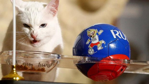 La decisión de "Aquiles" que no será del agrado del Argentina