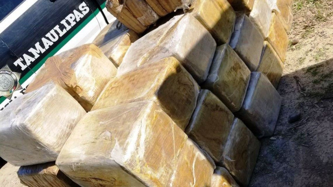 Incautan 536 kg de marihuana en Miguel Alemán