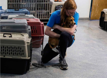 Rescatan perros que eran usados en experimentos 