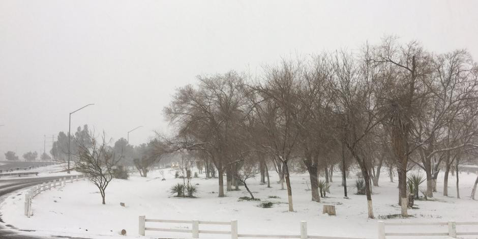Fuertes nevados en Cd. Juárez tras el Frente Frío 35