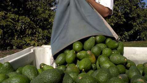 Cierre de frontera EU-México pegará fuerte en la economía de ambos países 