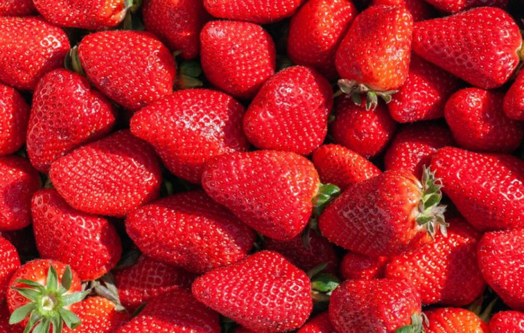 Alerta EU sobre brote de hepatitis A en fresas cultivadas en México
