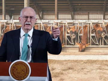  “Colaboramos, pero no nos subordinamos”: México responde a EU ante alerta por gusano barrenador