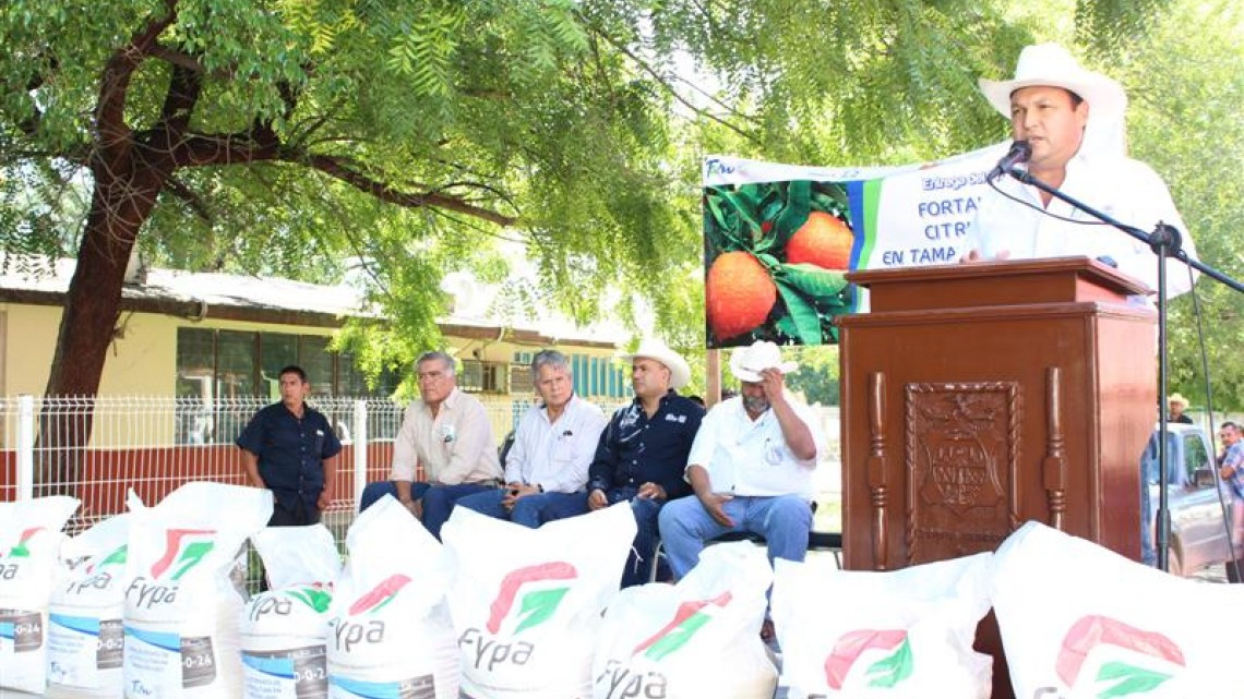 Tamaulipas destaca en producción de naranja