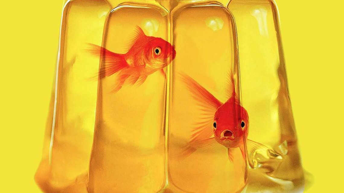 13 imágenes que engañarán a tu cerebro