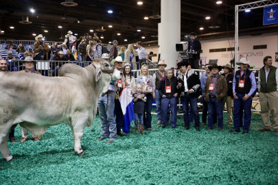 Entrega Gobernador premio en competencia internacional de ganado en Houston