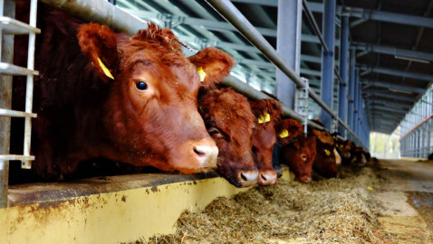 Destacan apoyo de Nuevo Laredo al sector rural