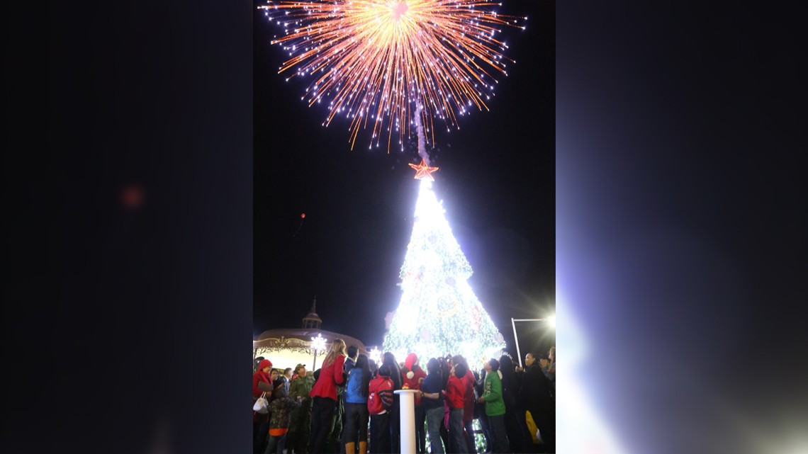 Niños encienden junto con alcaldesa Pino Navideño