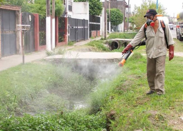 Alerta Municipio de falsos fumigadores 