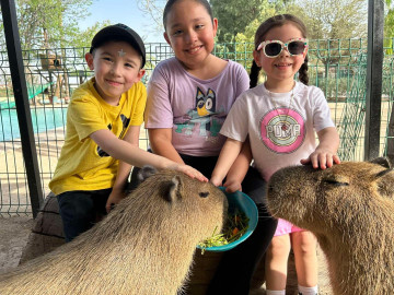 Ampliarán horarios de Zoológico de Nuevo Laredo por Semana Santa