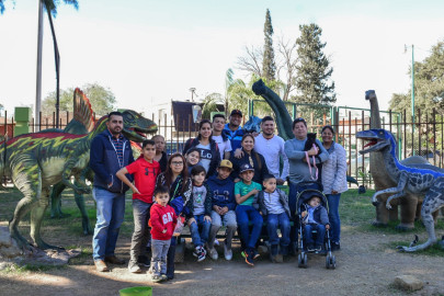 Entrada gratis al Zoológico a cambio de un árbol navideño