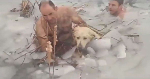 Policías salvan a perrito de un lago congelado en España