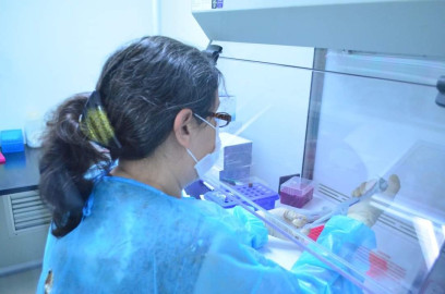 Tamaulipas registra 182 nuevos casos de COVID-19 