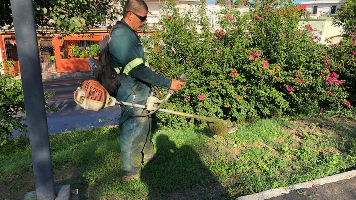 Supervisa alcalde maniobras de limpieza