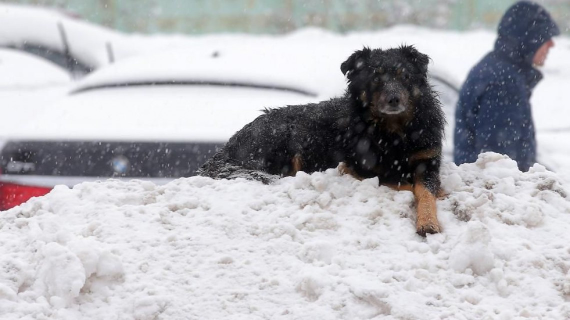1 muerto y cinco heridos tras tormenta de nieve en Moscú
