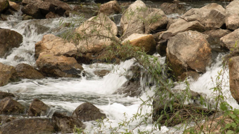 Gobierno de Tamaulipas concientiza sobre conservación del medio ambiente