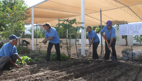 Reconocen trabajo de “Vigilantes Ecológicos”