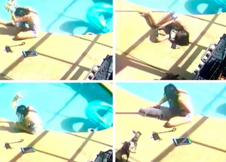 Intencionalmente, mujer ahoga en piscina a perro chihuahua 