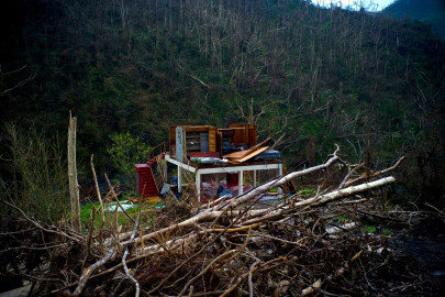 Un 91% de Puerto Rico continua sin luz tras paso de María