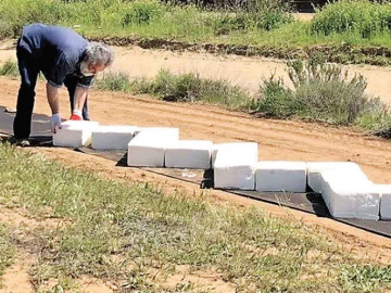Ya inició la construcción del muro, pero de ¿queso cotija?